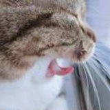 越