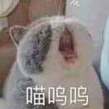 毓迭