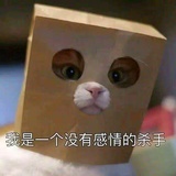 歪瓜皮