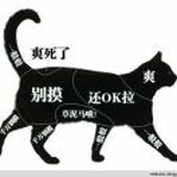 憤怒的閃電⚡