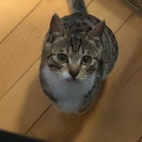 豆友192777757