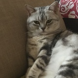 豆友192779690