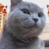 酒后表演艺术家🤪