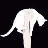 猫崽001