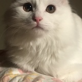 Katherine