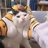 why_148