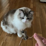 lucky奶糖麻麻