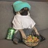 子砚