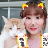 诸葛钢铁