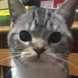 辣条妈妈