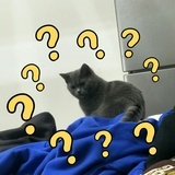 嗯我好饿ジ