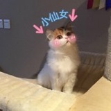 O小姐的全世界