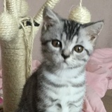 豆友192853563