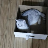 马场老板