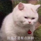 洛熙朵