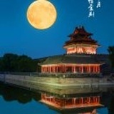 自由的鱼儿