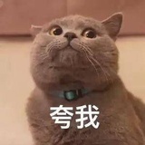 不爱吃馅的包子