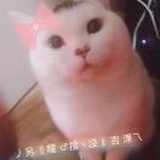 🌸微凉