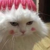 容我睡一觉