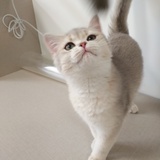 冬末知雪暖