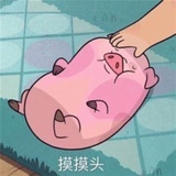 冰冰