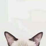 Miss L