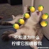 橘猫贼瘦不科学