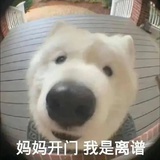 豆友192940850