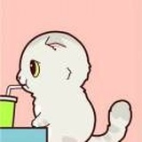 猫妹儿