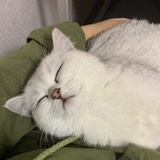 阿卡晨