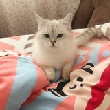豆友ww