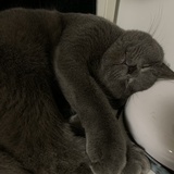边熬夜边涂眼霜