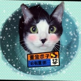 bu螺