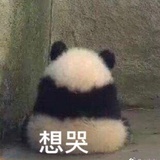 呆小萌