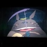 龙猫