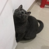 包包与国庆