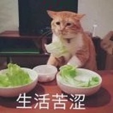亿博婚庆微商勿