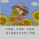 默写年华