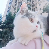 小江