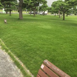 幸福顺写成文