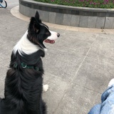 豆友193083217