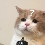 庙宇的屋顶