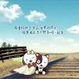 游戏密探猪猪侠
