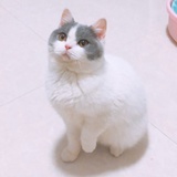 吉祥如意