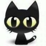 猫十一鱼九