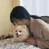 Komorebi