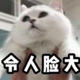 嘻嘻哈哈呵呵哒