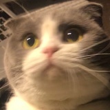 kakurara