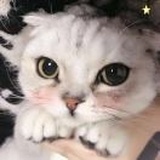 泡饭～
