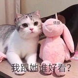 昔往